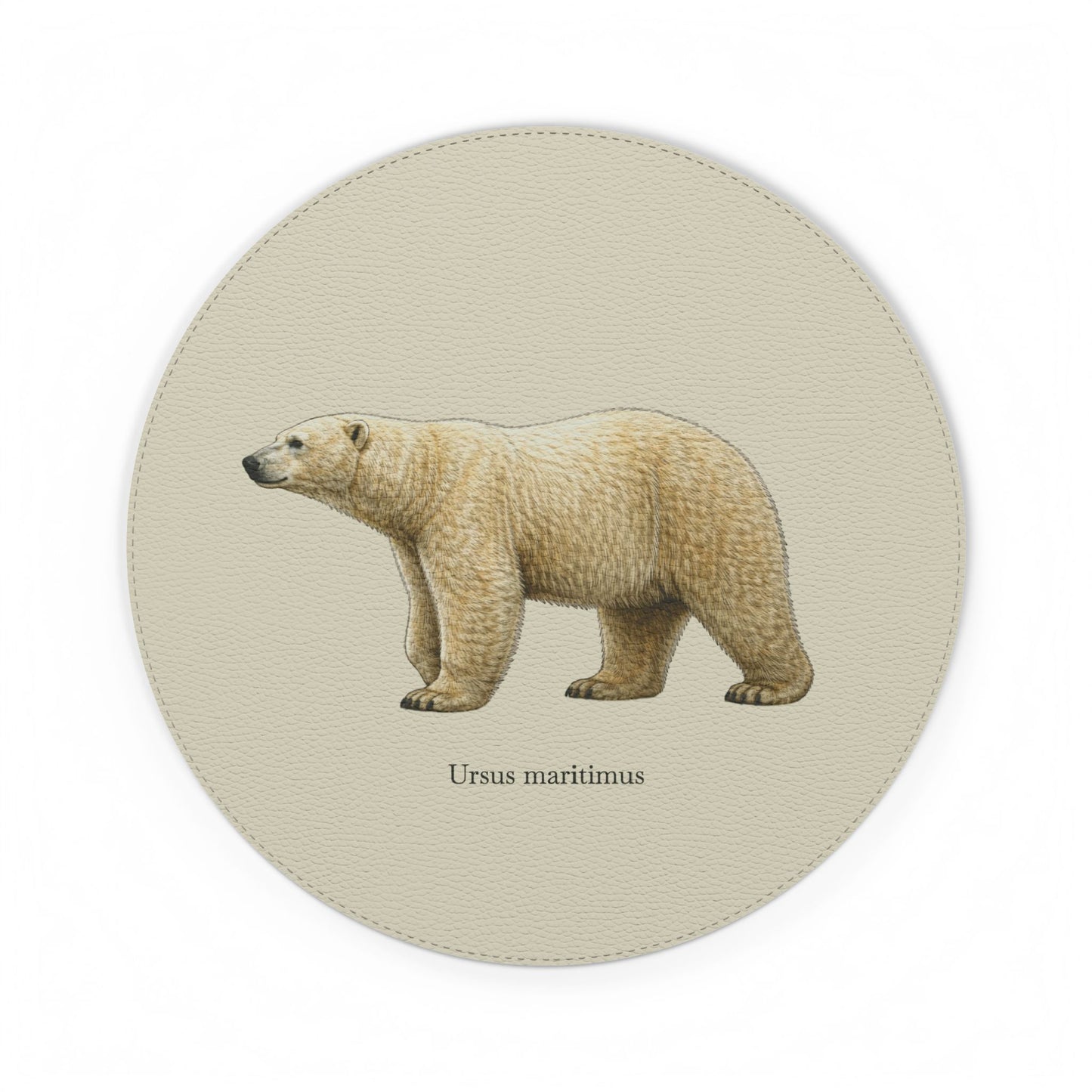 Mouse Pad - Polar Bear (Ursus maritimus)