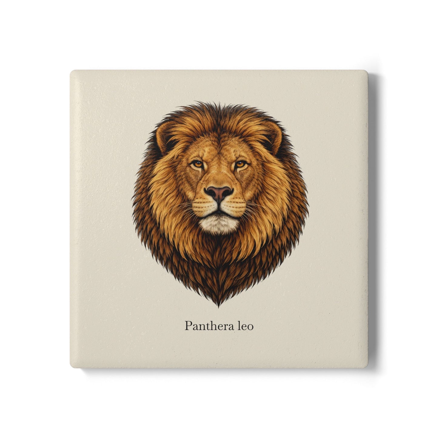 Ceramic Coaster - Lion (Panthera leo)