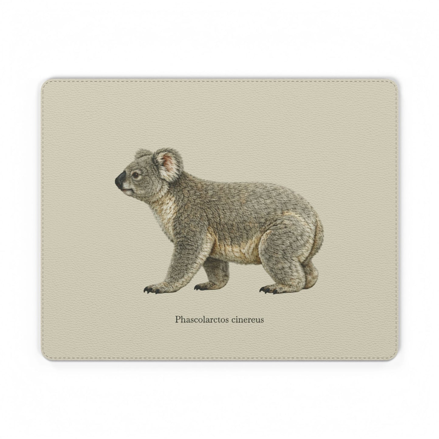 Mouse Pad - Koala (Phascolarctos cinereus)