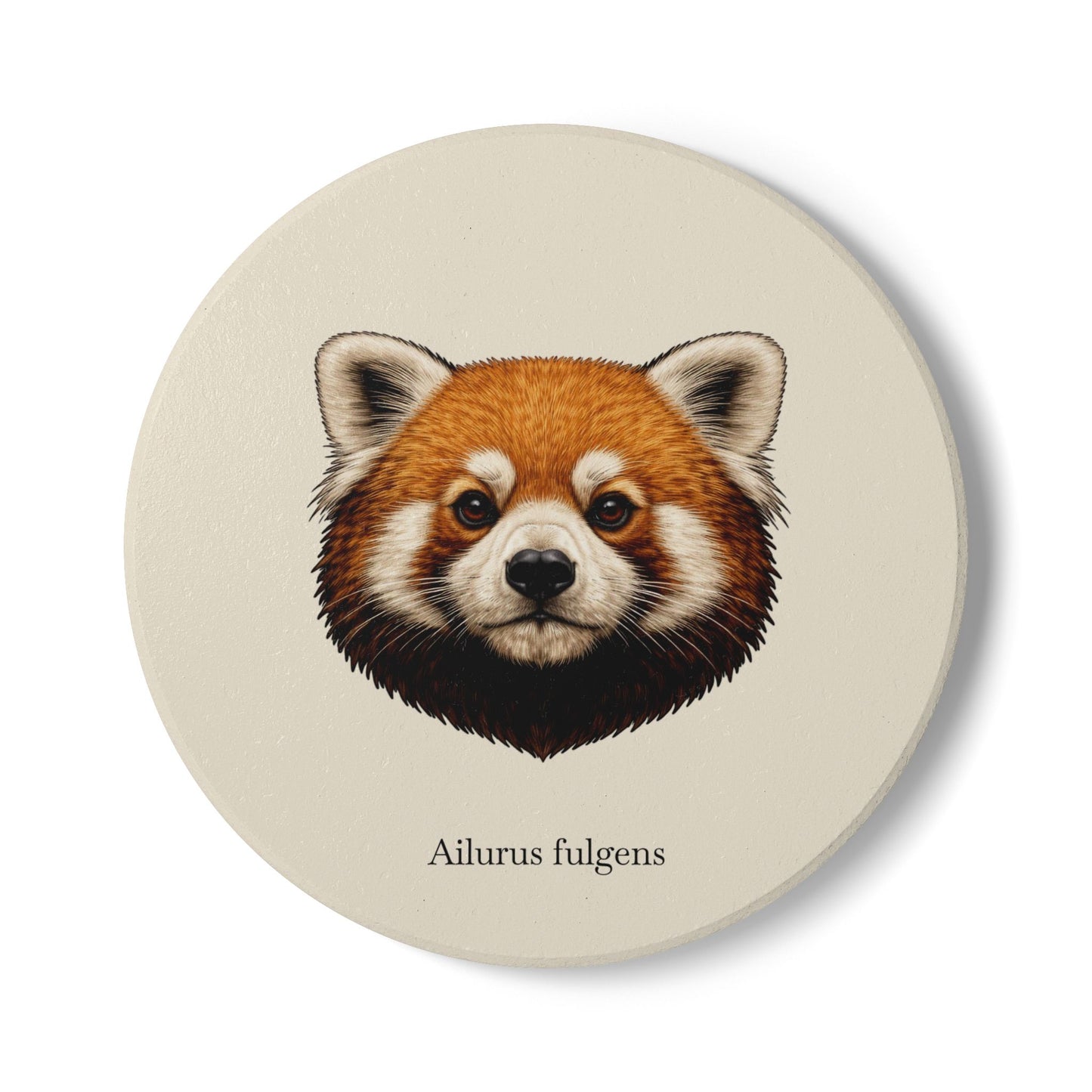 Ceramic Coaster - Red Panda (Ailurus fulgens)