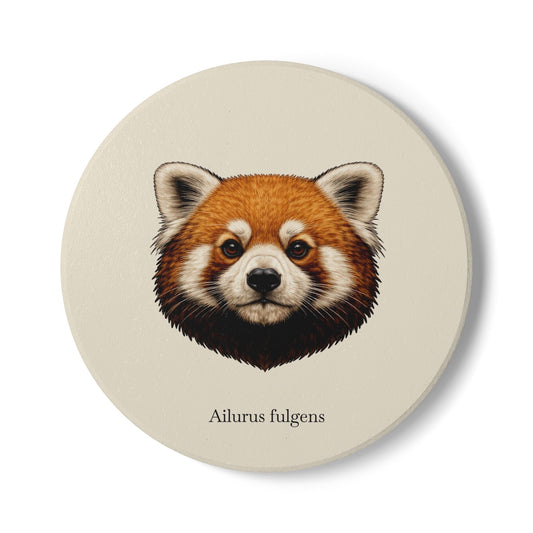 Ceramic Coaster - Red Panda (Ailurus fulgens)