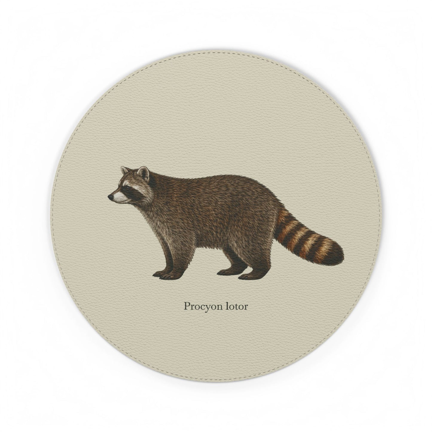 Mouse Pad - Raccoon (Procyon lotor)