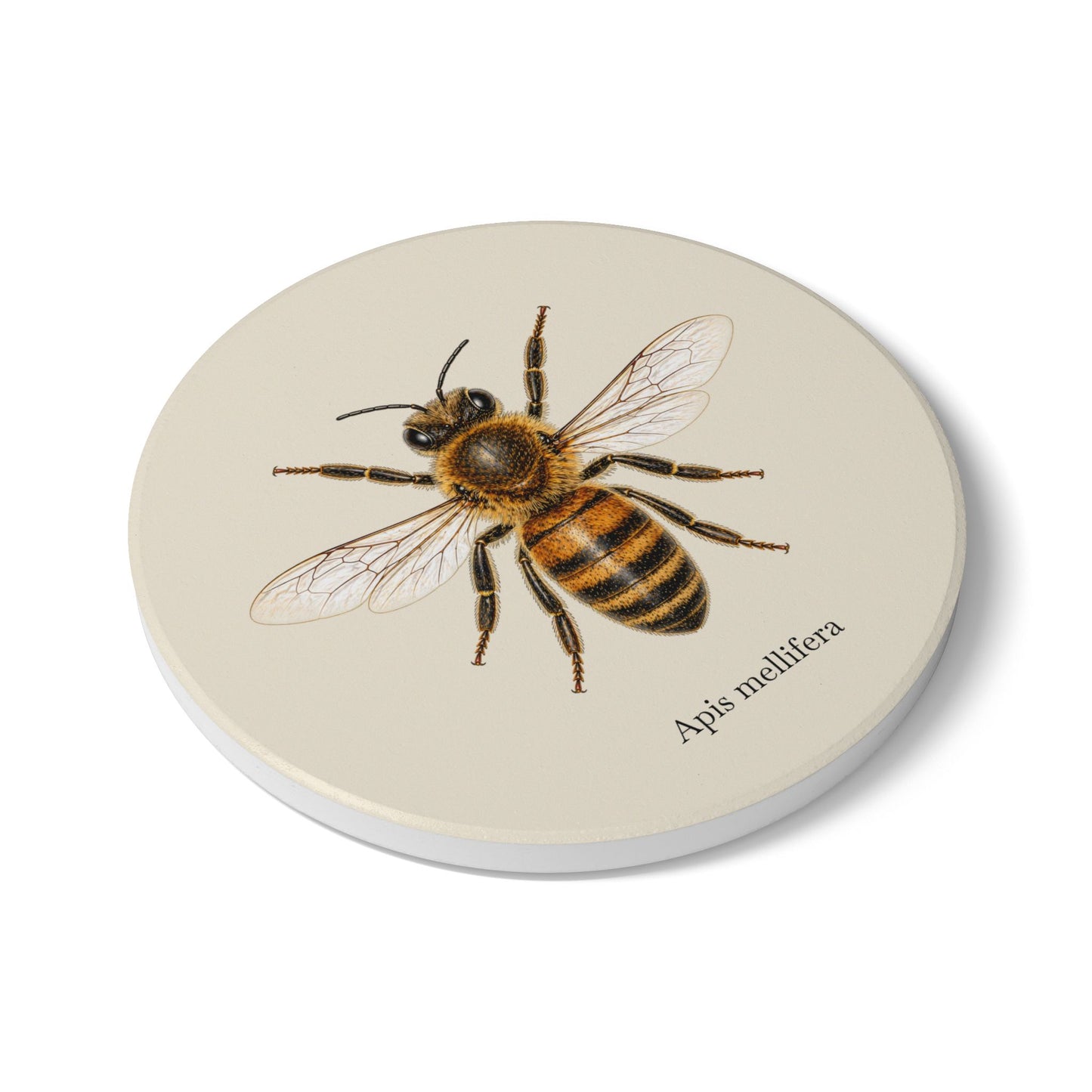 Ceramic Coaster - Honey Bee (Apis mellifera)