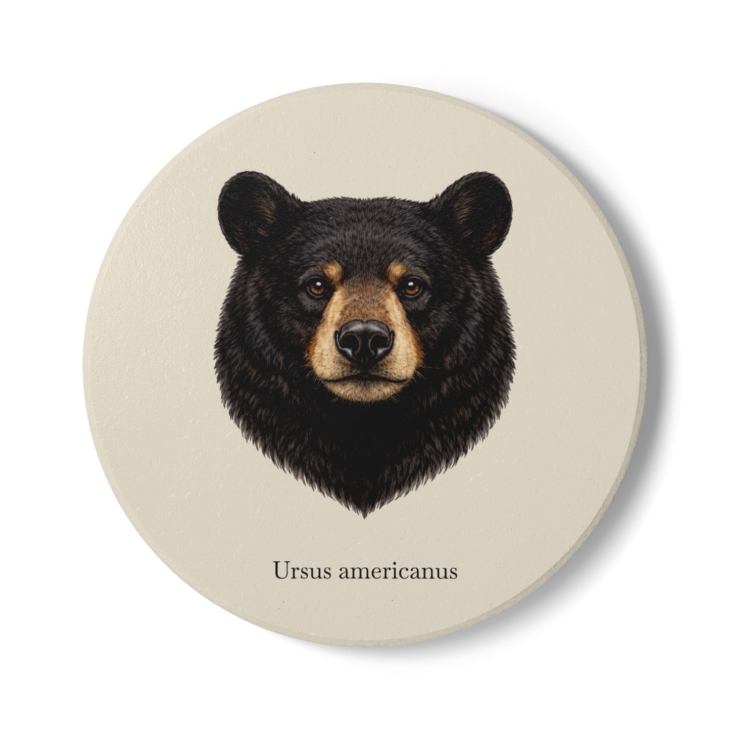Ceramic Coaster - Black Bear (Ursus americanus)
