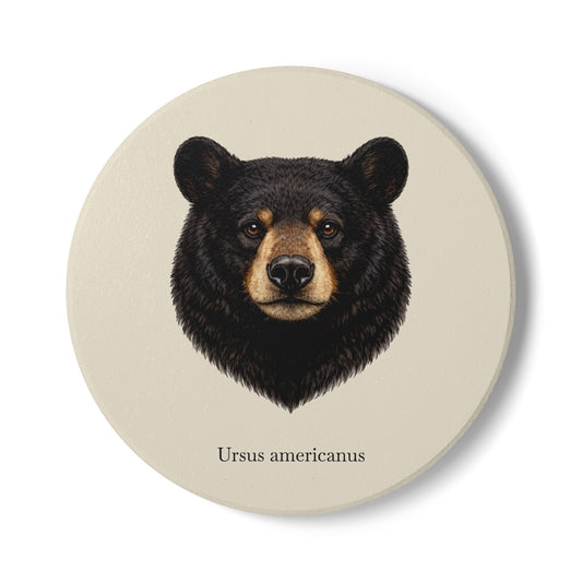 Ceramic Coaster - Black Bear (Ursus americanus)