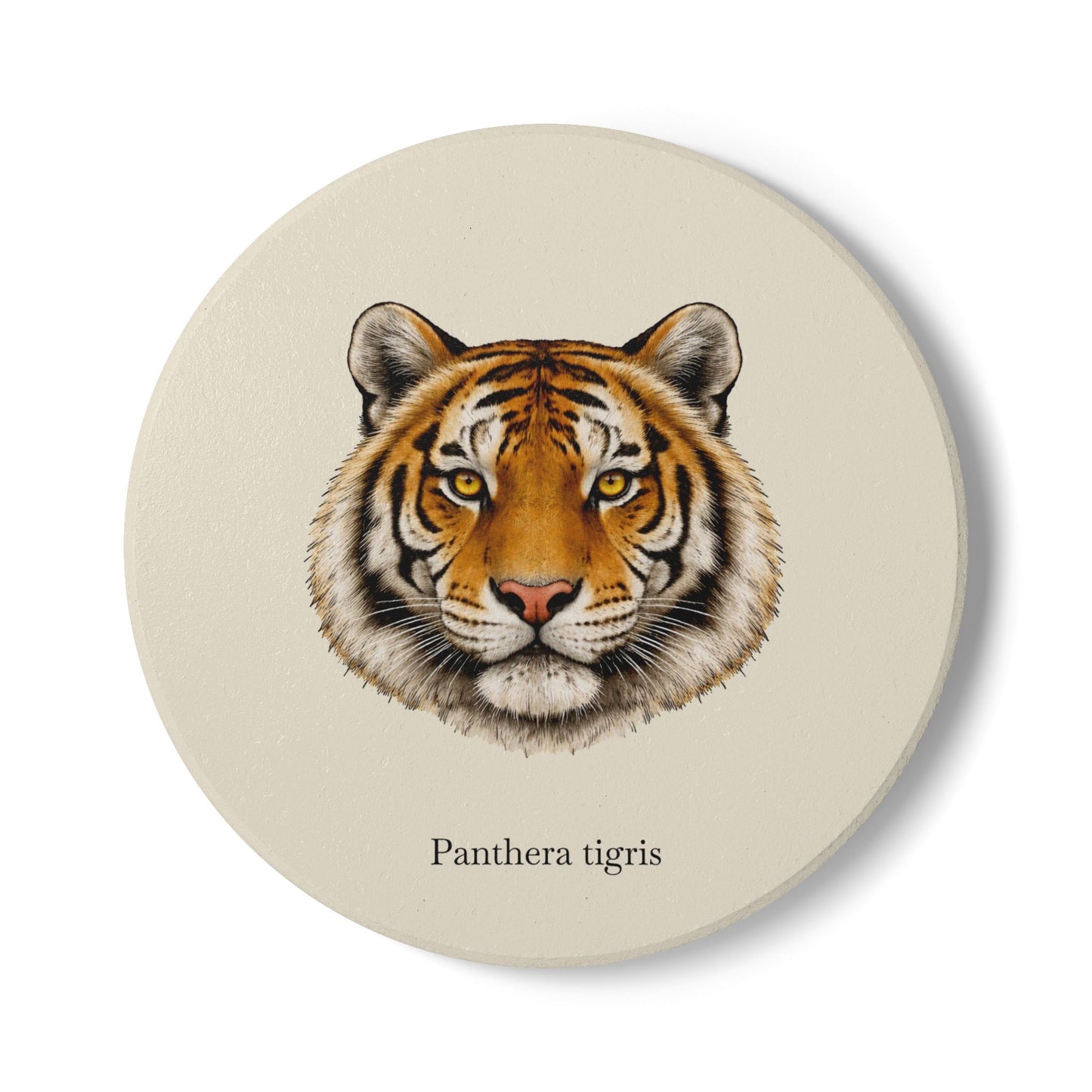 Ceramic Coaster - Tiger (Panthera tigris)