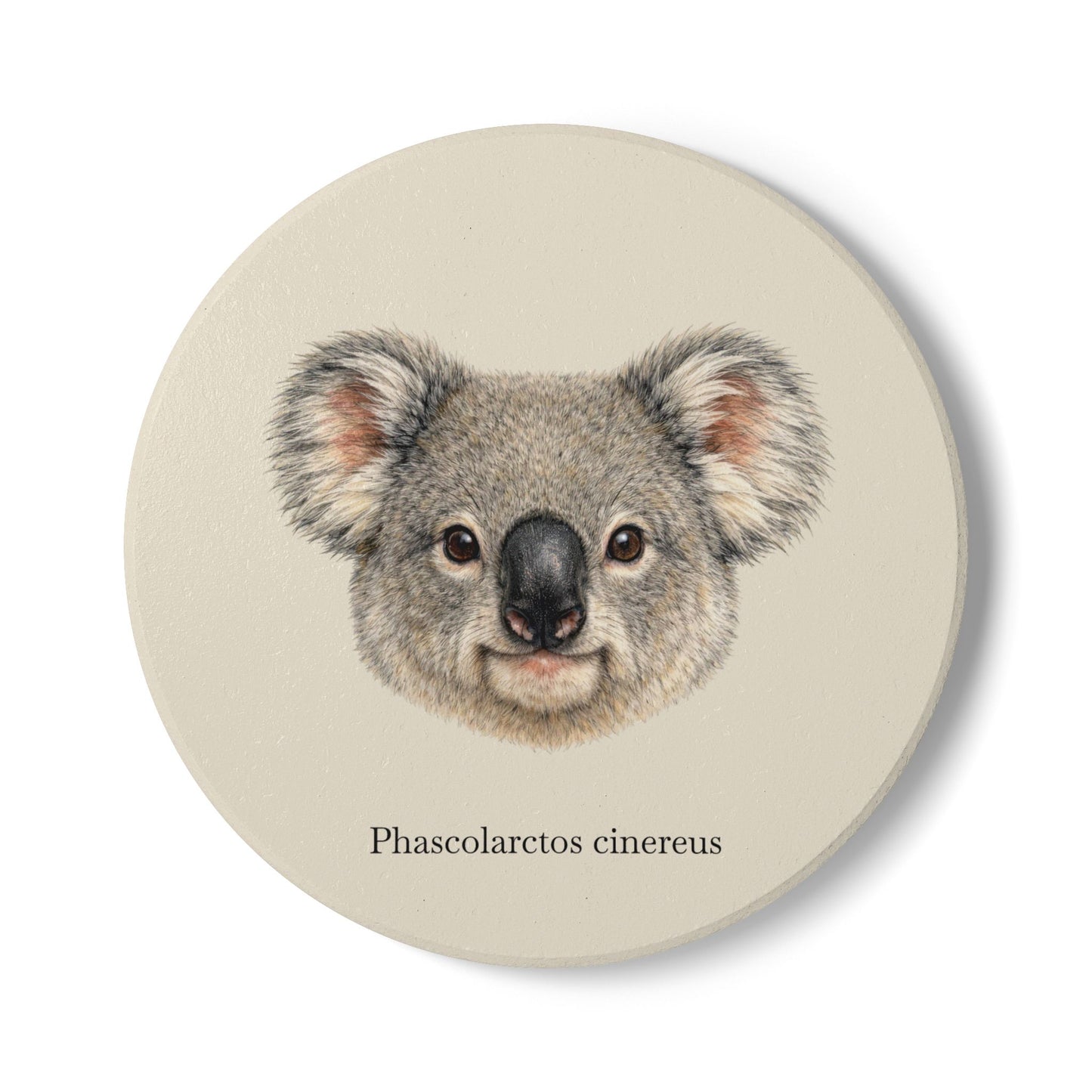 Ceramic Coaster - Koala (Phascolarctos cinereus)