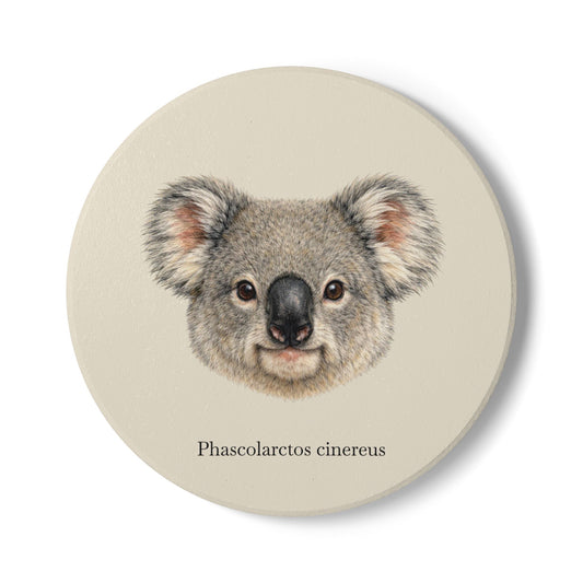 Ceramic Coaster - Koala (Phascolarctos cinereus)