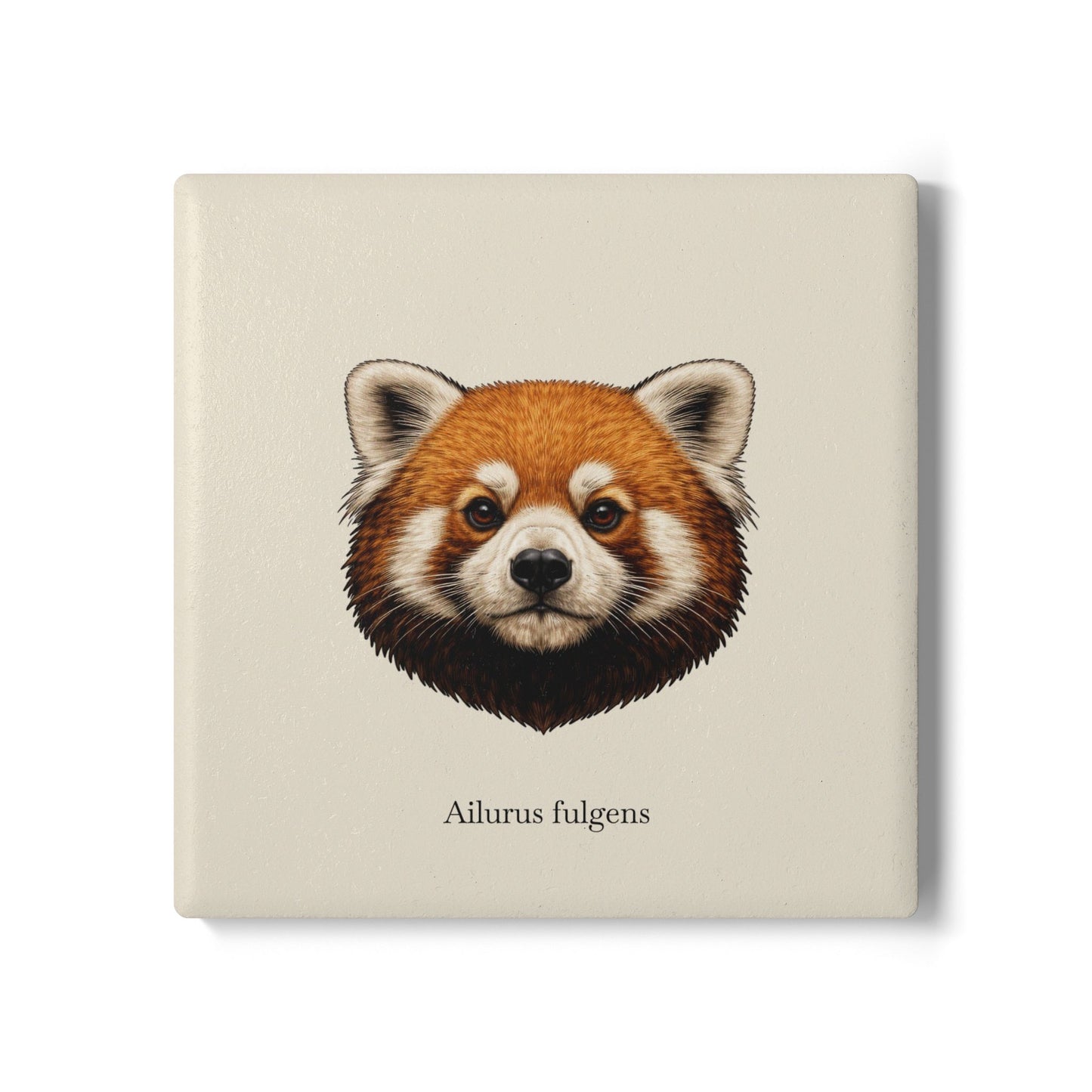 Ceramic Coaster - Red Panda (Ailurus fulgens)