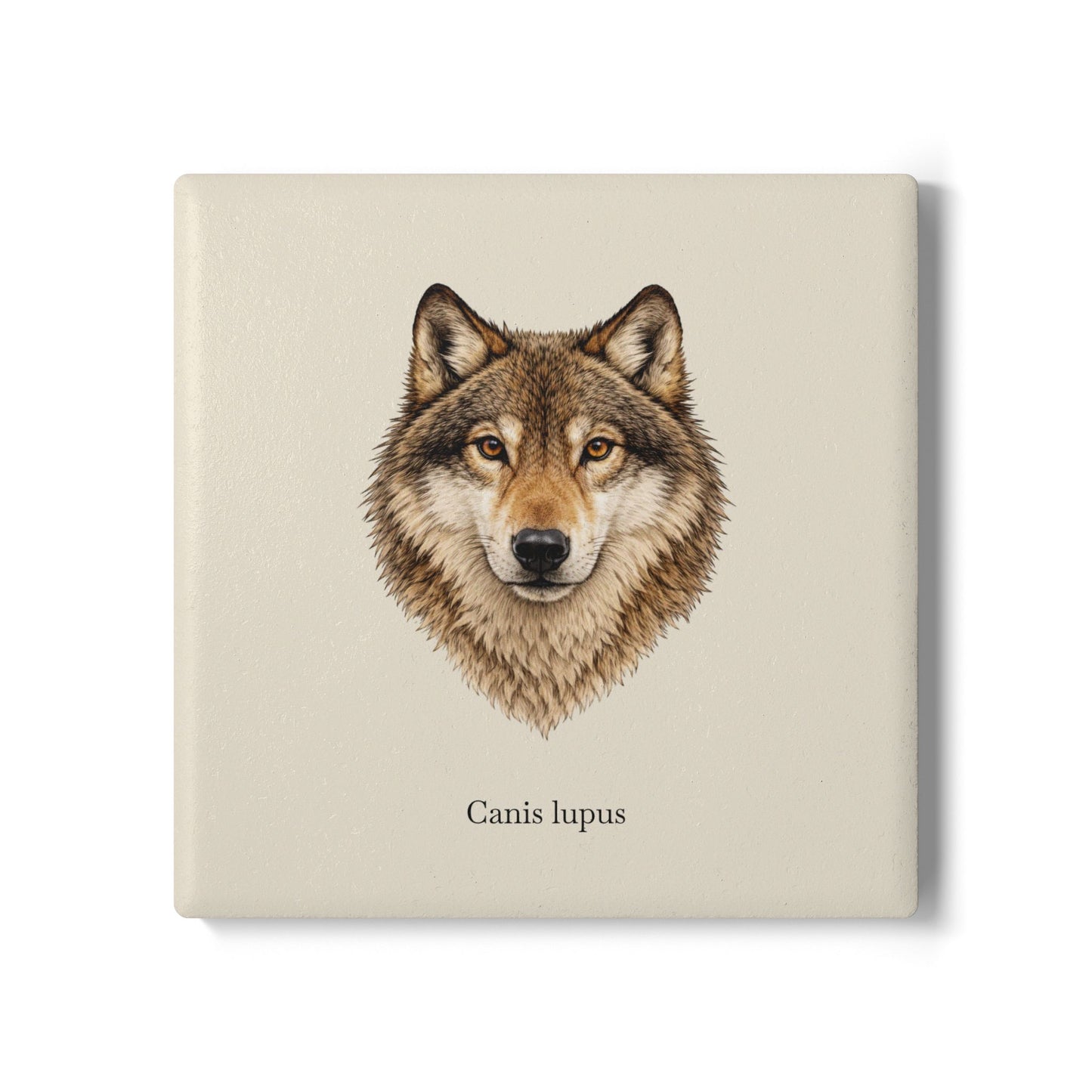 Ceramic Coaster - Wolf (Canis lupus)