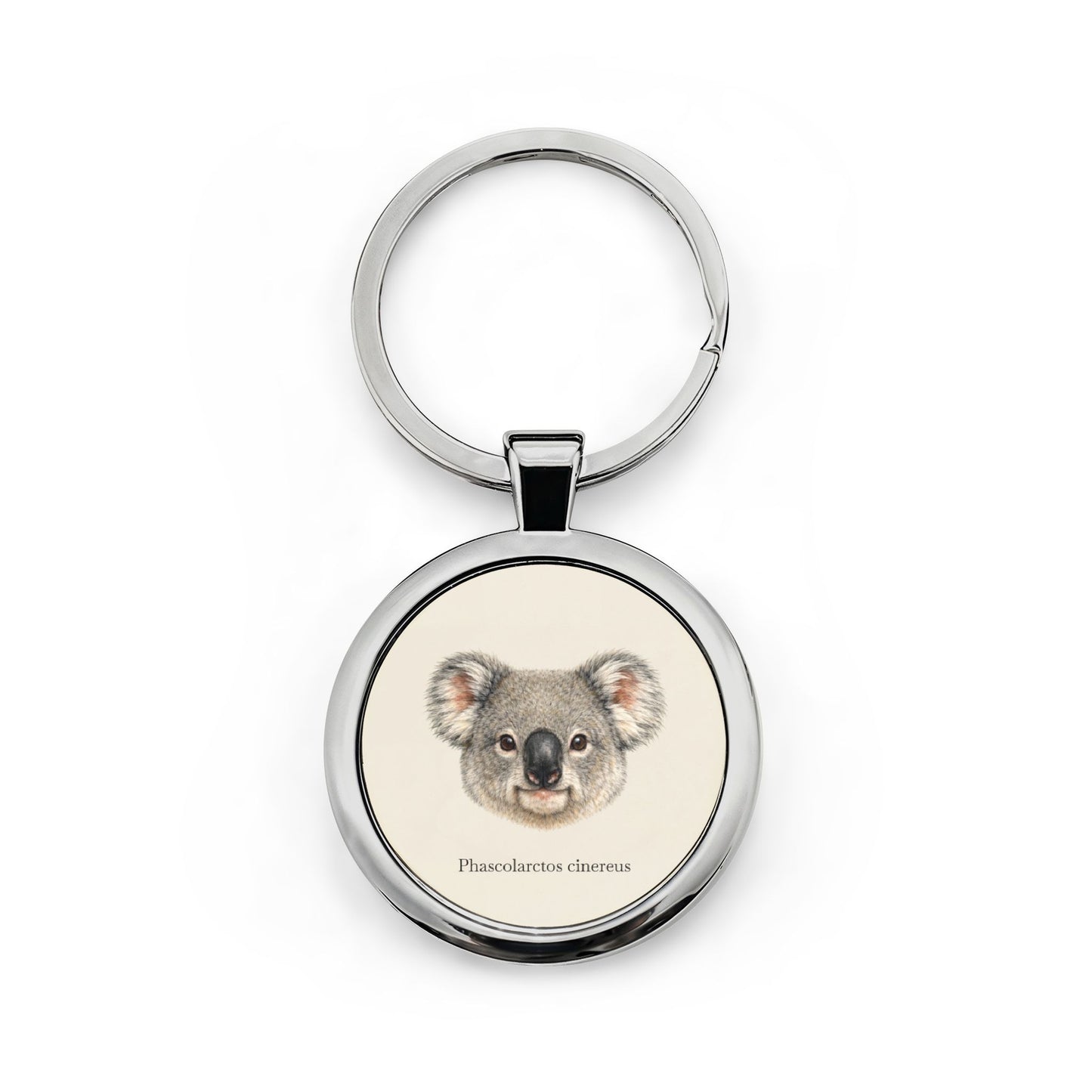 Stainless Steel Keychain - Koala (Phascolarctos cinereus)