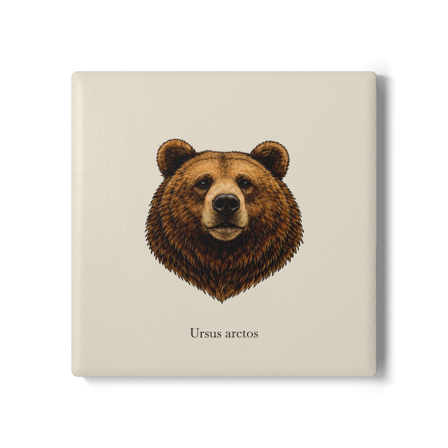 Ceramic Coaster - Brown Bear (Ursus arctos)