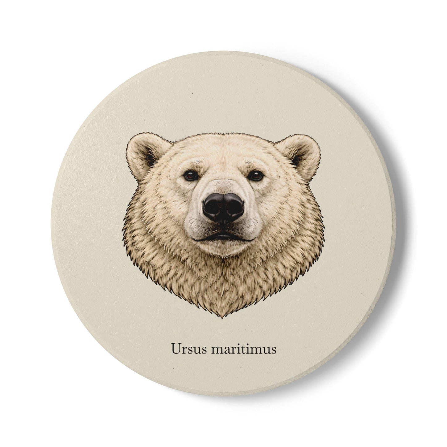 Ceramic Coaster - Polar Bear (Ursus maritimus)