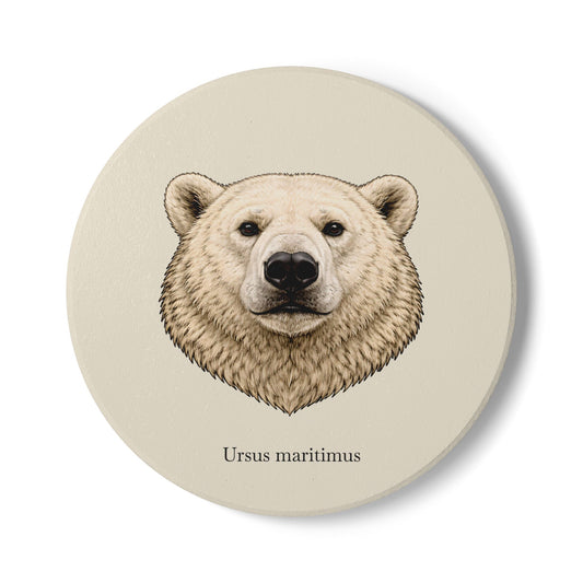 Ceramic Coaster - Polar Bear (Ursus maritimus)