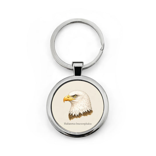 Edelstahl Schlüsselanhänger - Bald Eagle (Haliaeetus leucocephalus)