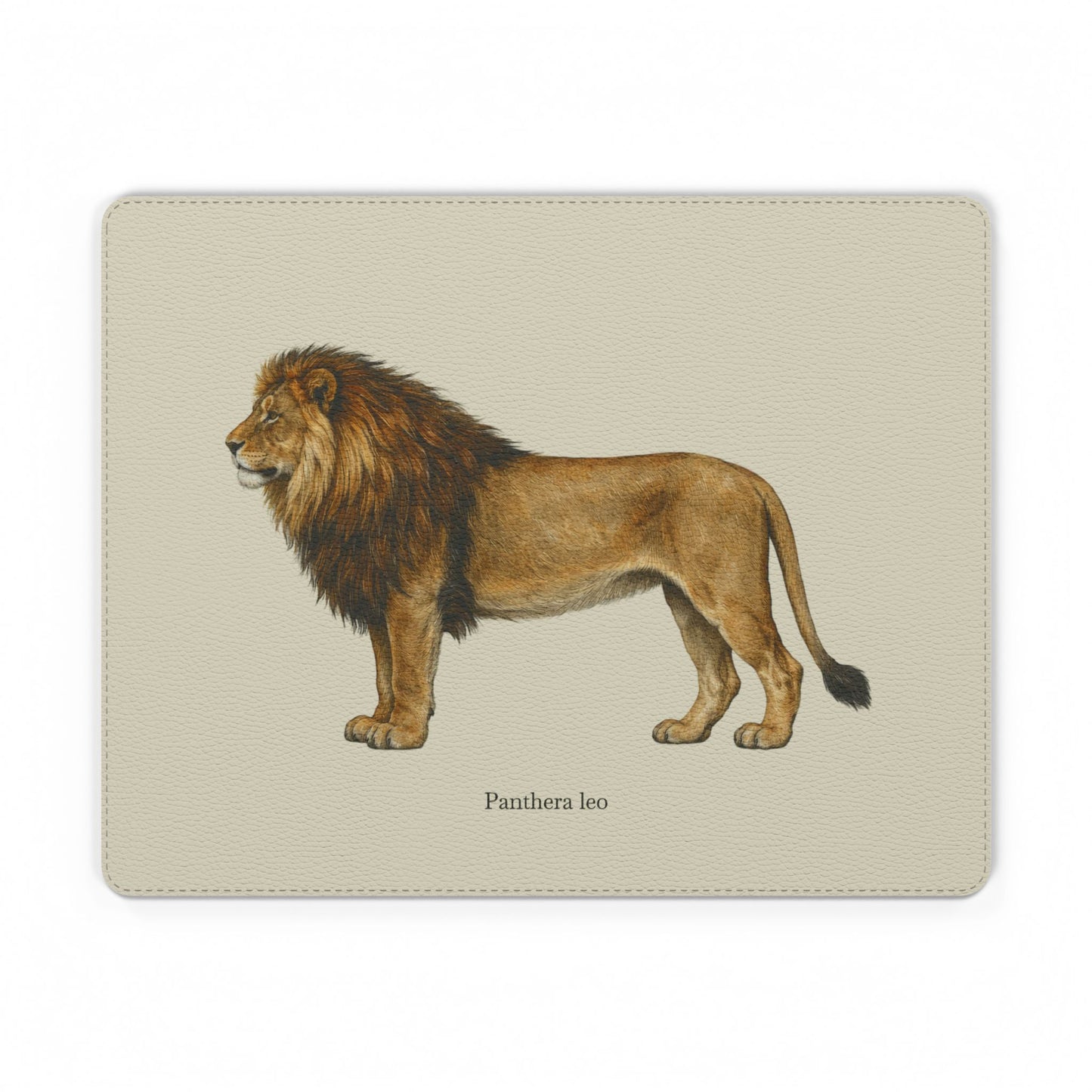 Mouse Pad - Lion (Panthera leo)