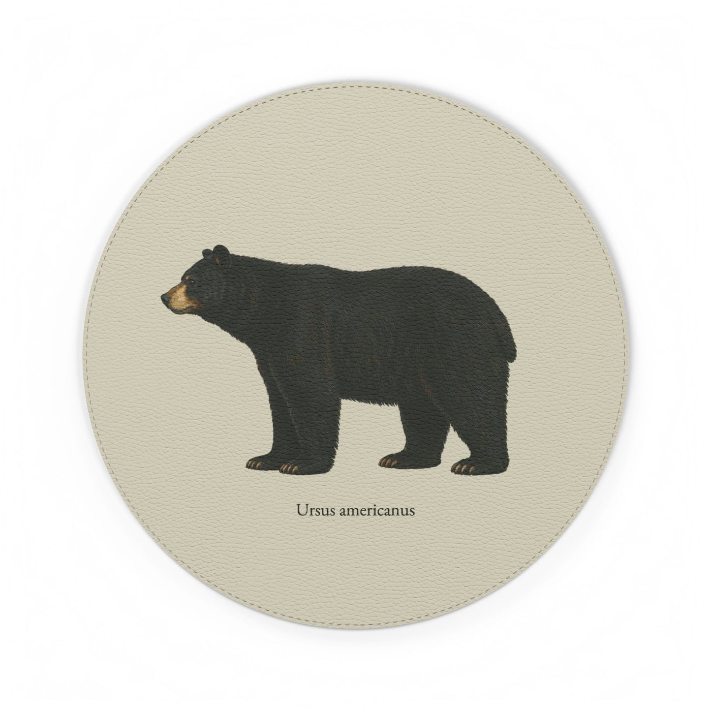 Mouse Pad - Black Bear (Ursus americanus)