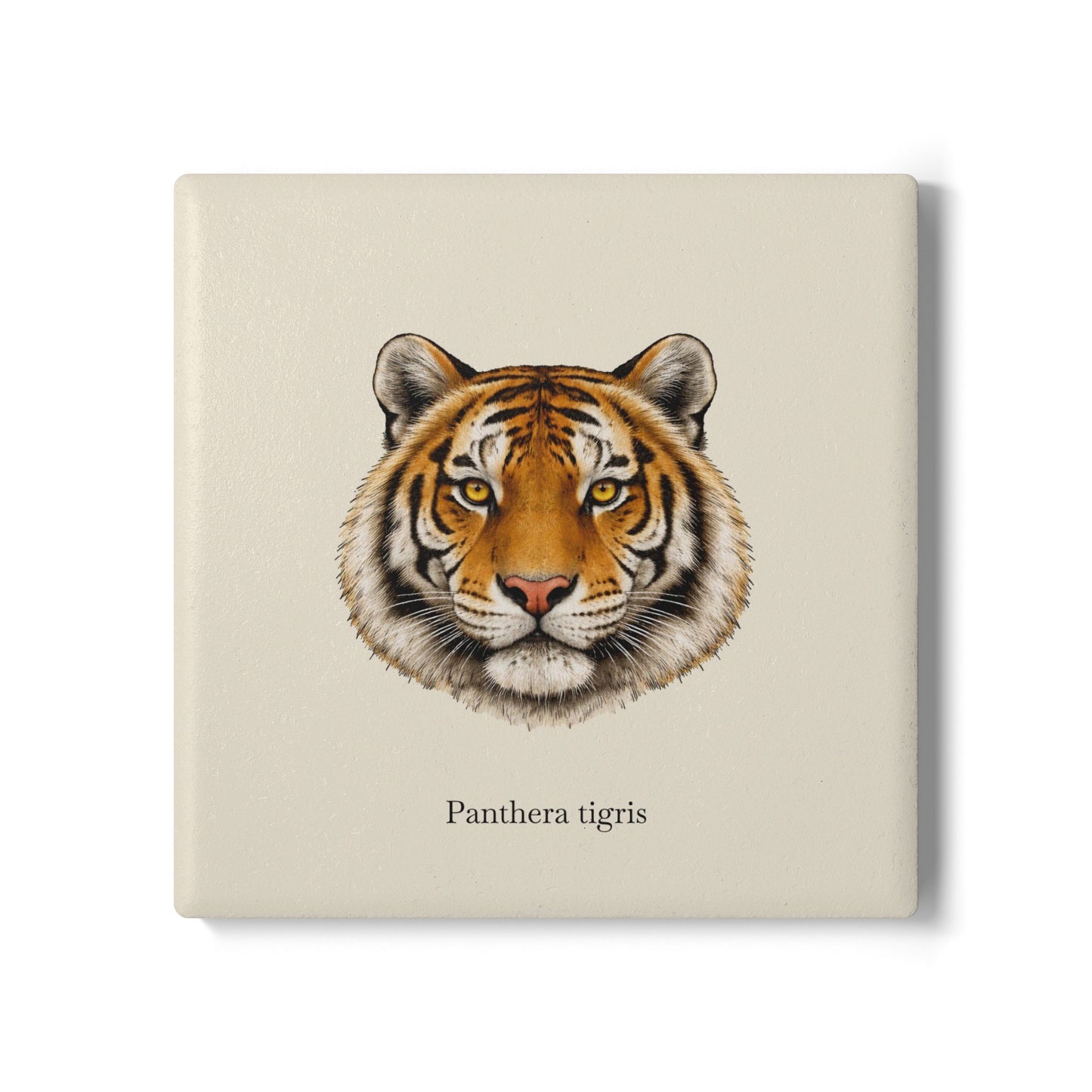 Ceramic Coaster - Tiger (Panthera tigris)