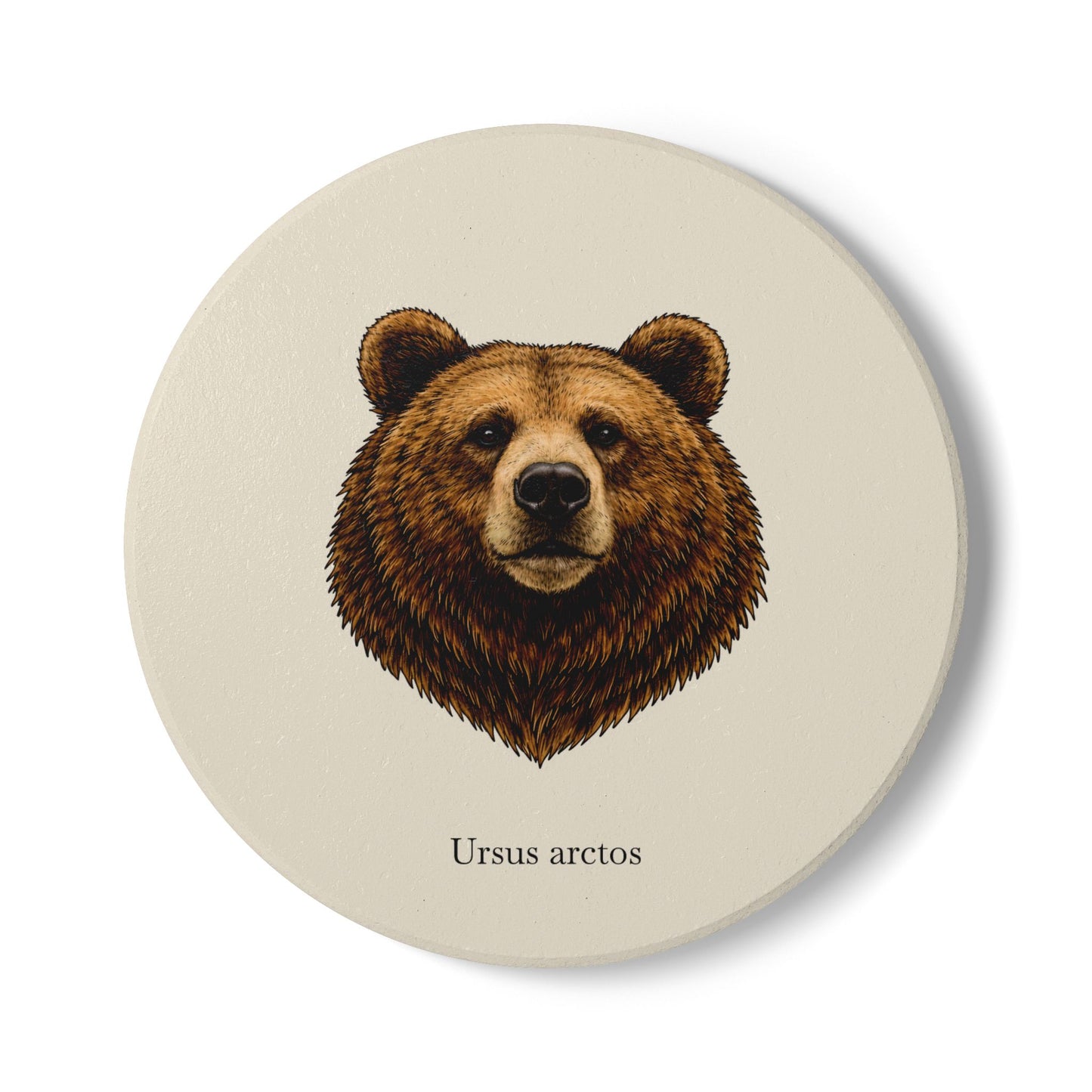 Ceramic Coaster - Brown Bear (Ursus arctos)