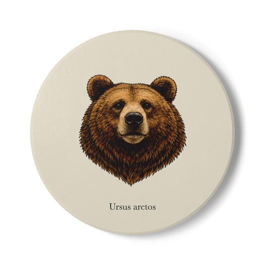 Ceramic Coaster - Brown Bear (Ursus arctos)