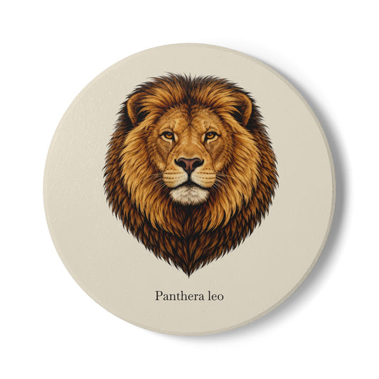 Ceramic Coaster - Lion (Panthera leo)