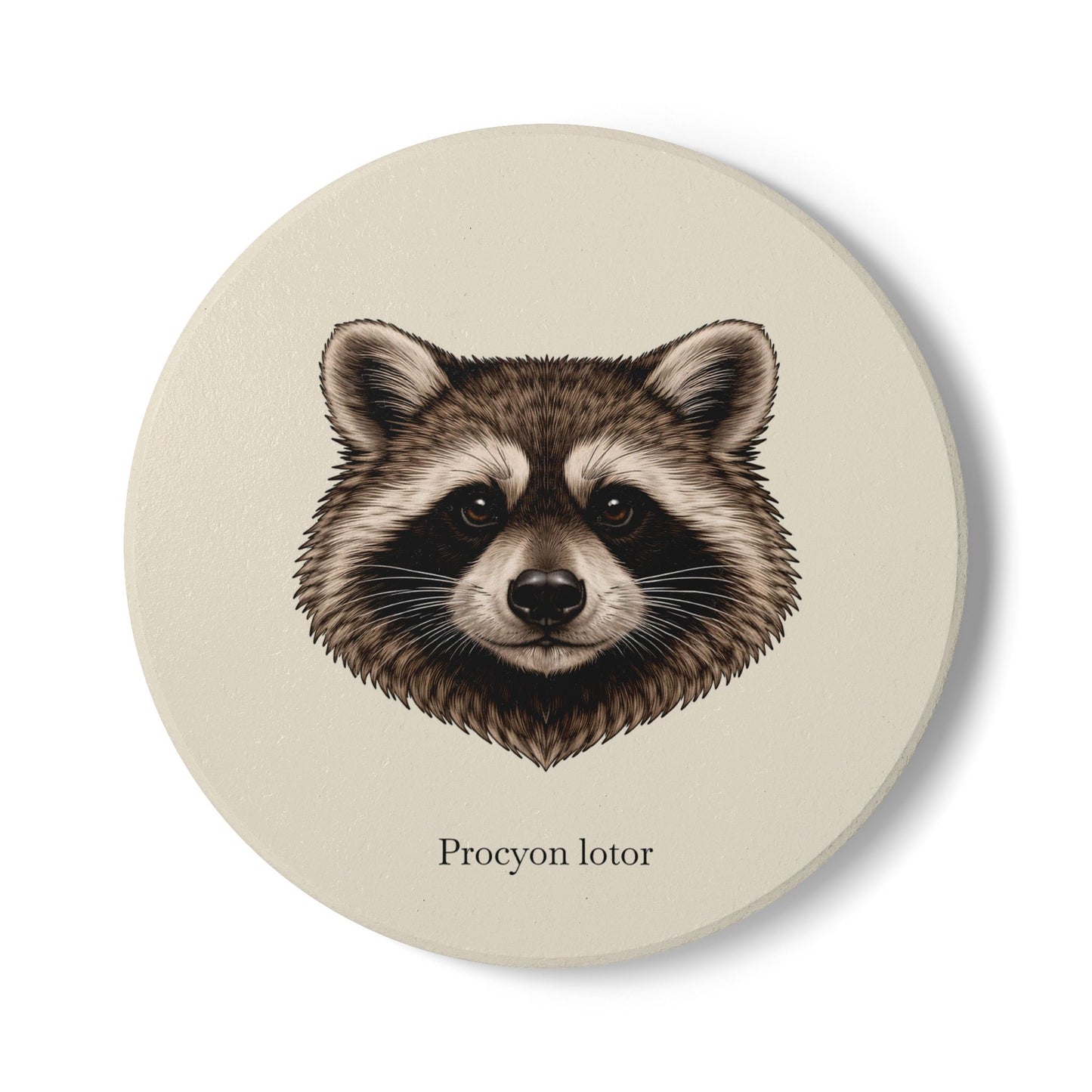 Ceramic Coaster - Raccoon (Procyon lotor)