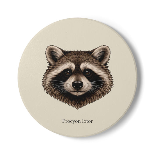 Ceramic Coaster - Raccoon (Procyon lotor)