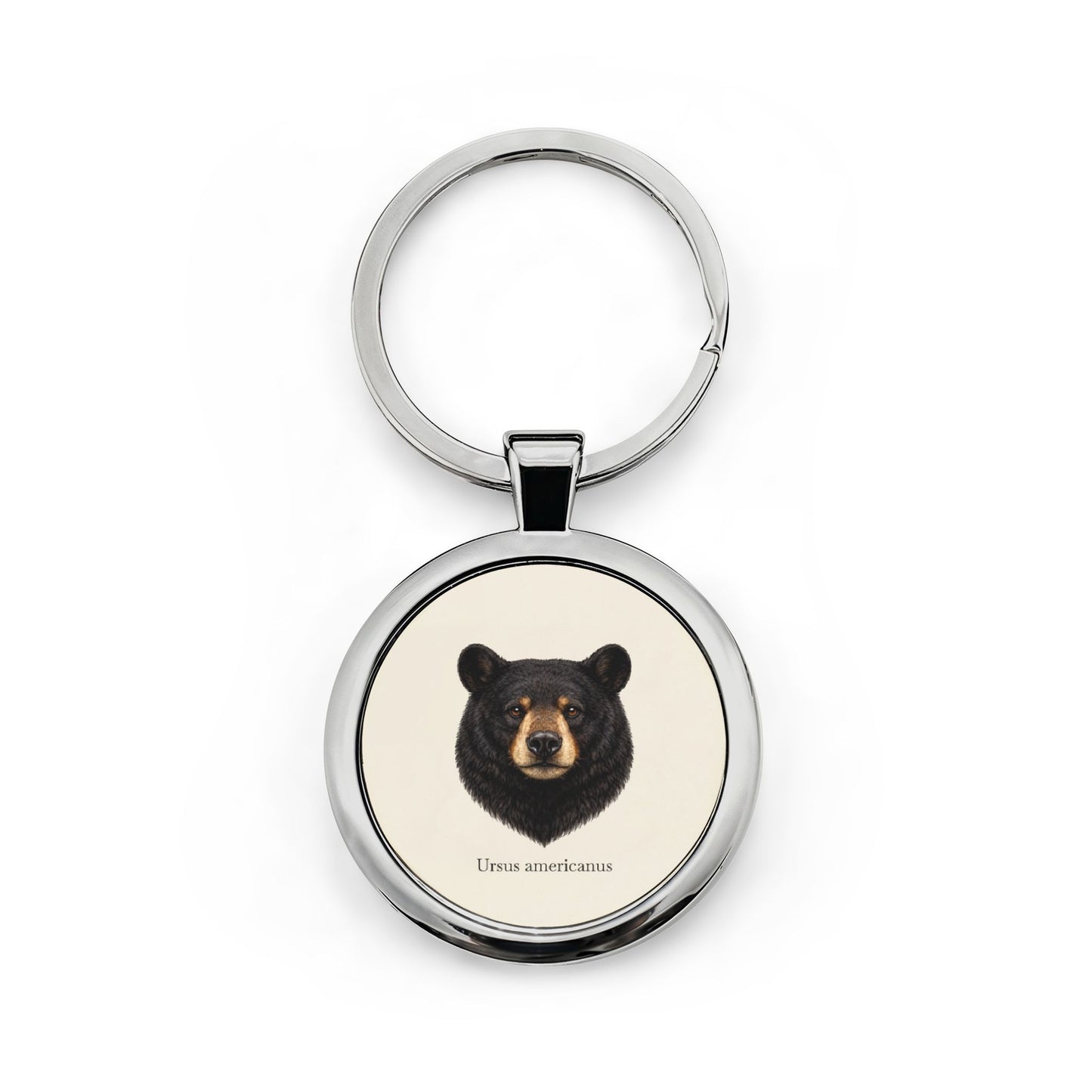 Stainless Steel Keychain - Black Bear (Ursus americanus)