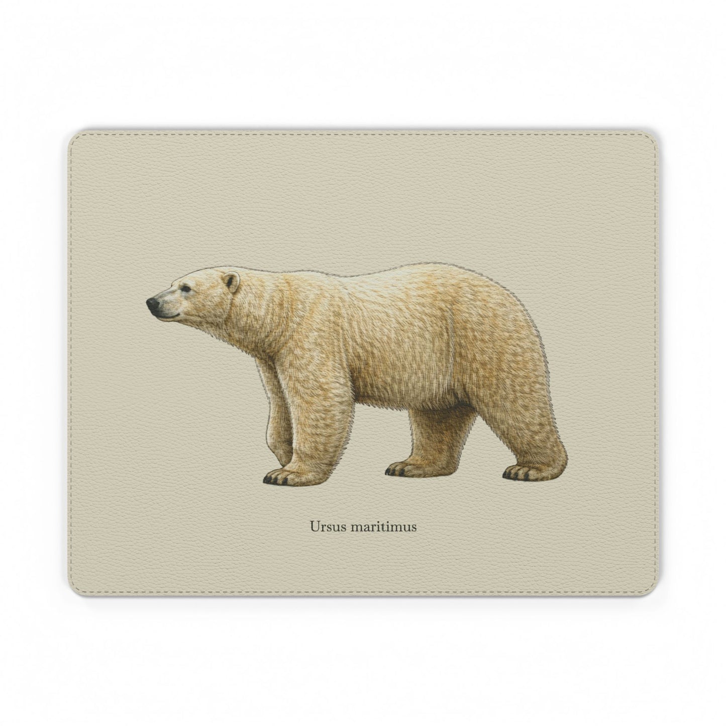 Mouse Pad - Polar Bear (Ursus maritimus)