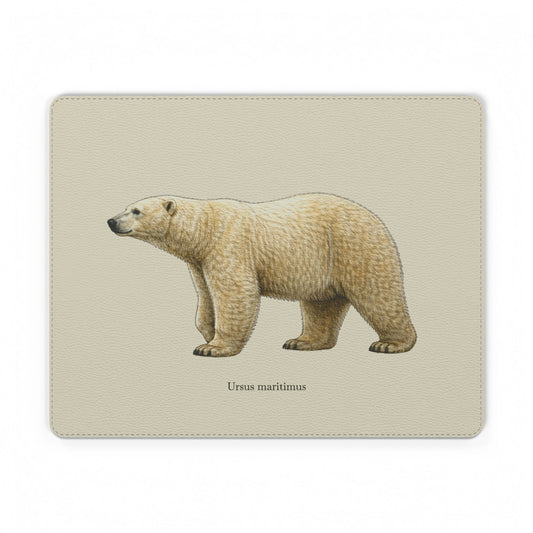 Mouse Pad - Polar Bear (Ursus maritimus)