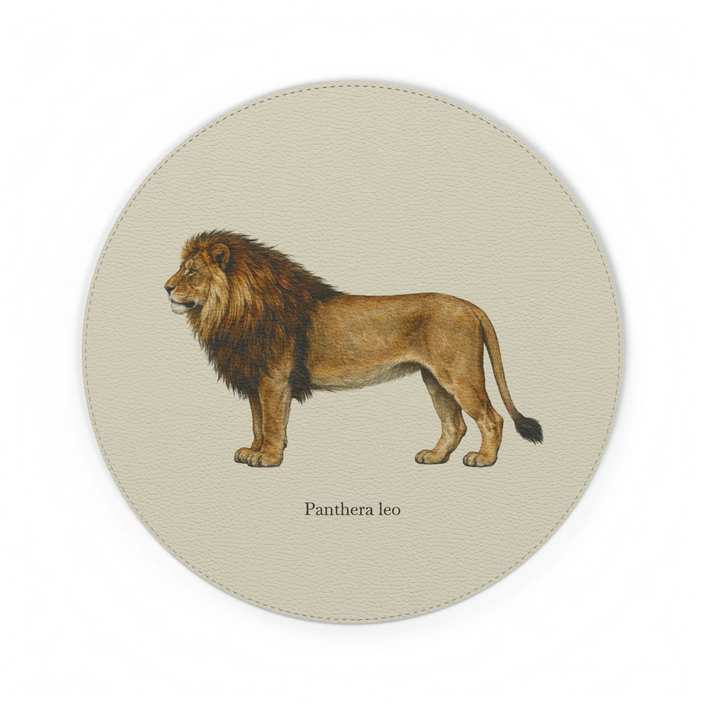 Mouse Pad - Lion (Panthera leo)