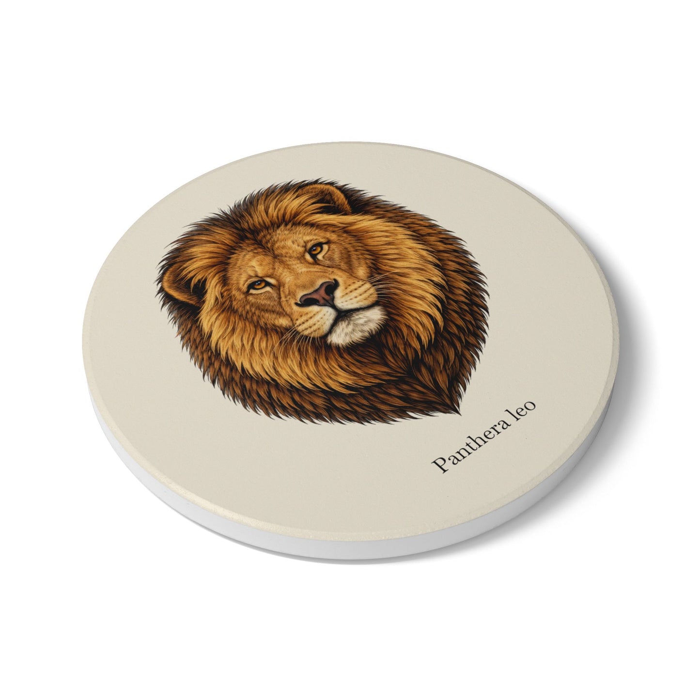 Ceramic Coaster - Lion (Panthera leo)