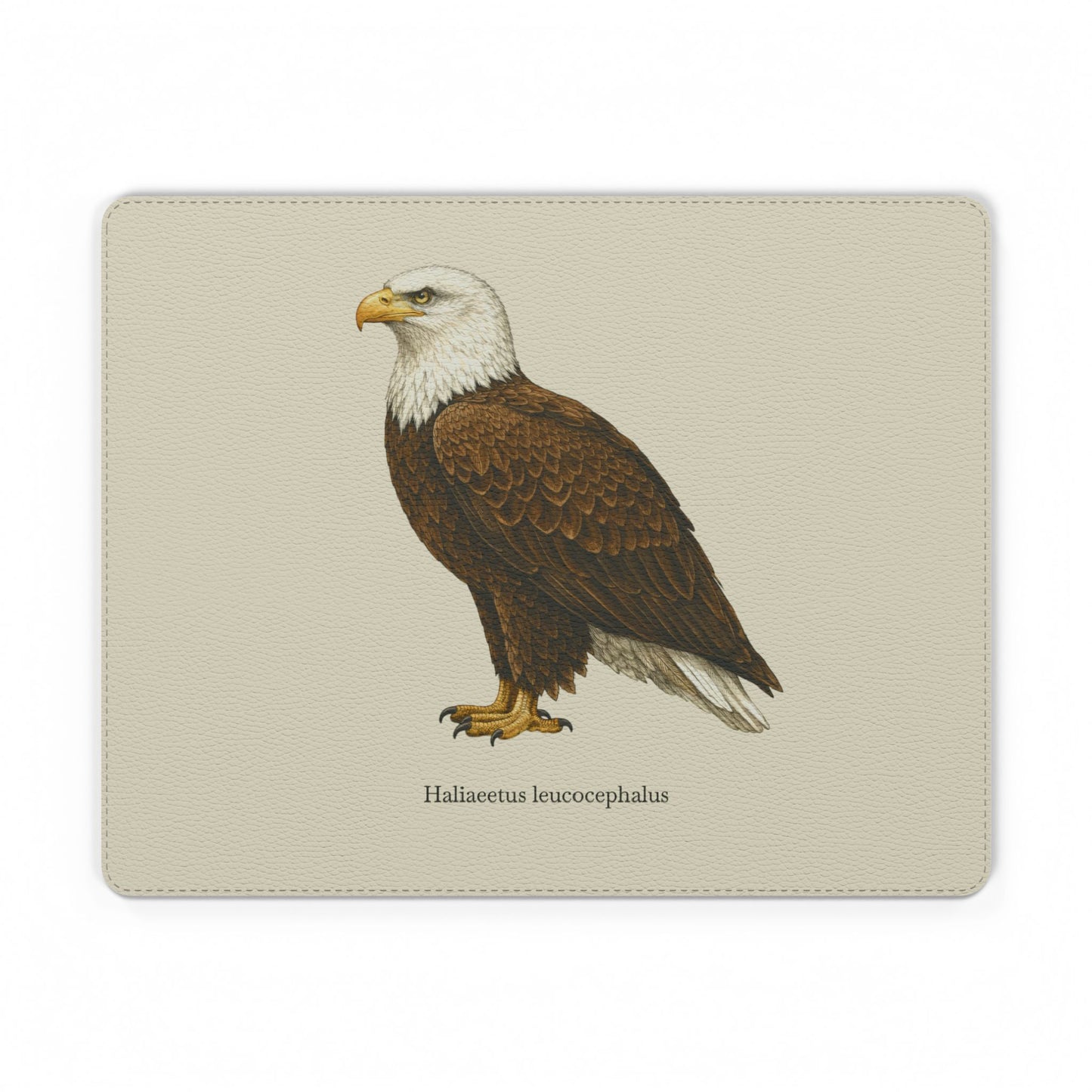Mouse Pad - Bald Eagle (Haliaeetus leucocephalus)