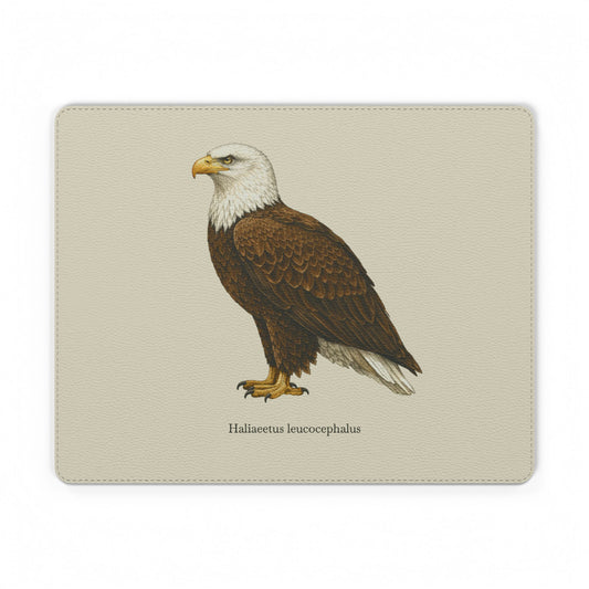 Mauspad - Weißkopfseeadler (Haliaeetus leucocephalus)