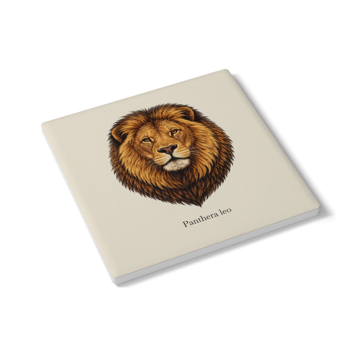 Ceramic Coaster - Lion (Panthera leo)