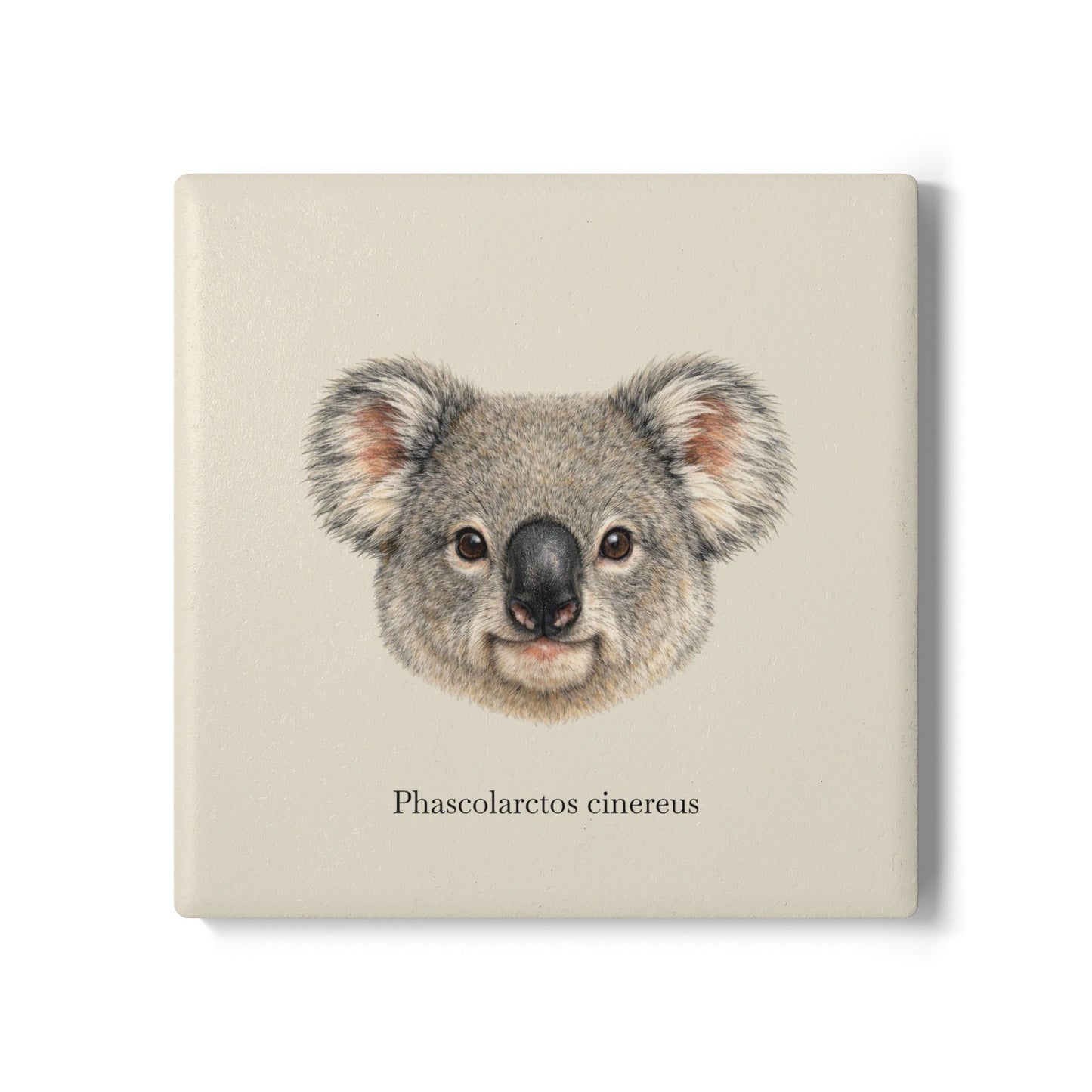 Ceramic Coaster - Koala (Phascolarctos cinereus)