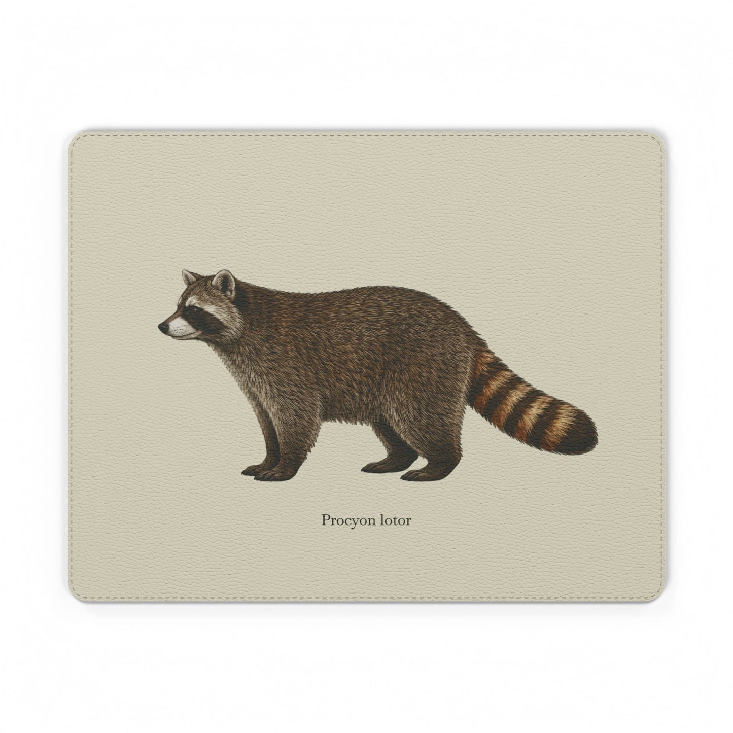 Mouse Pad - Raccoon (Procyon lotor)