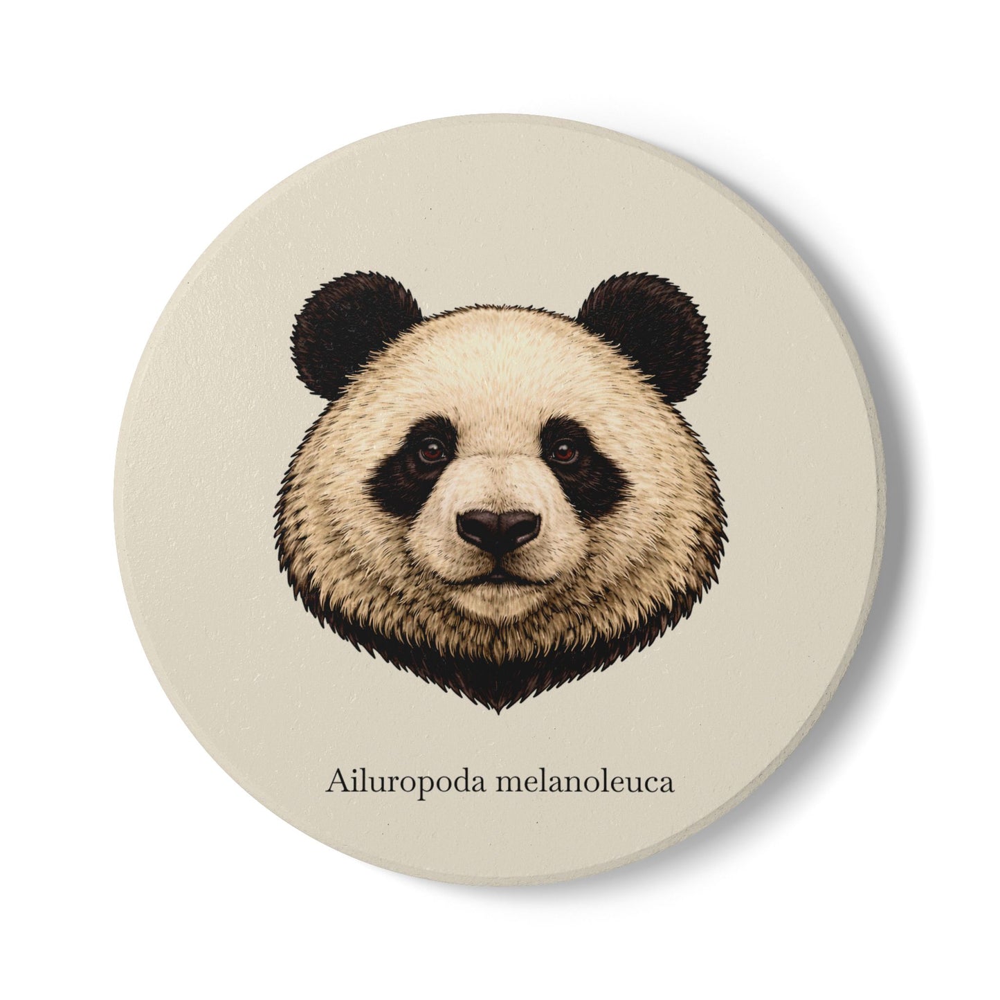 Ceramic Coaster - Giant Panda (Ailuropoda melanoleuca)