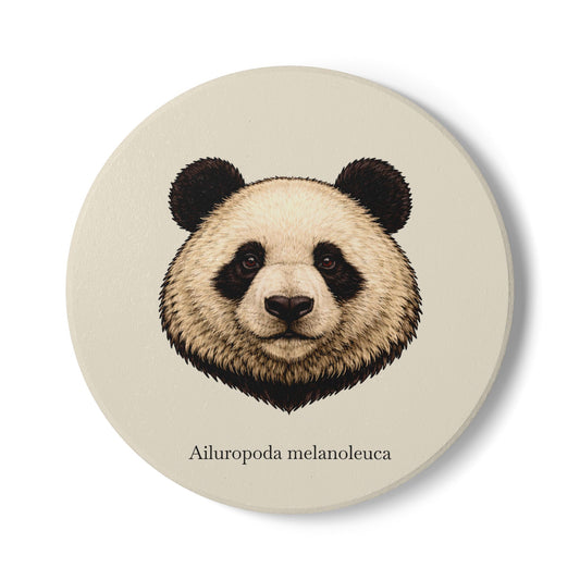 Ceramic Coaster - Giant Panda (Ailuropoda melanoleuca)
