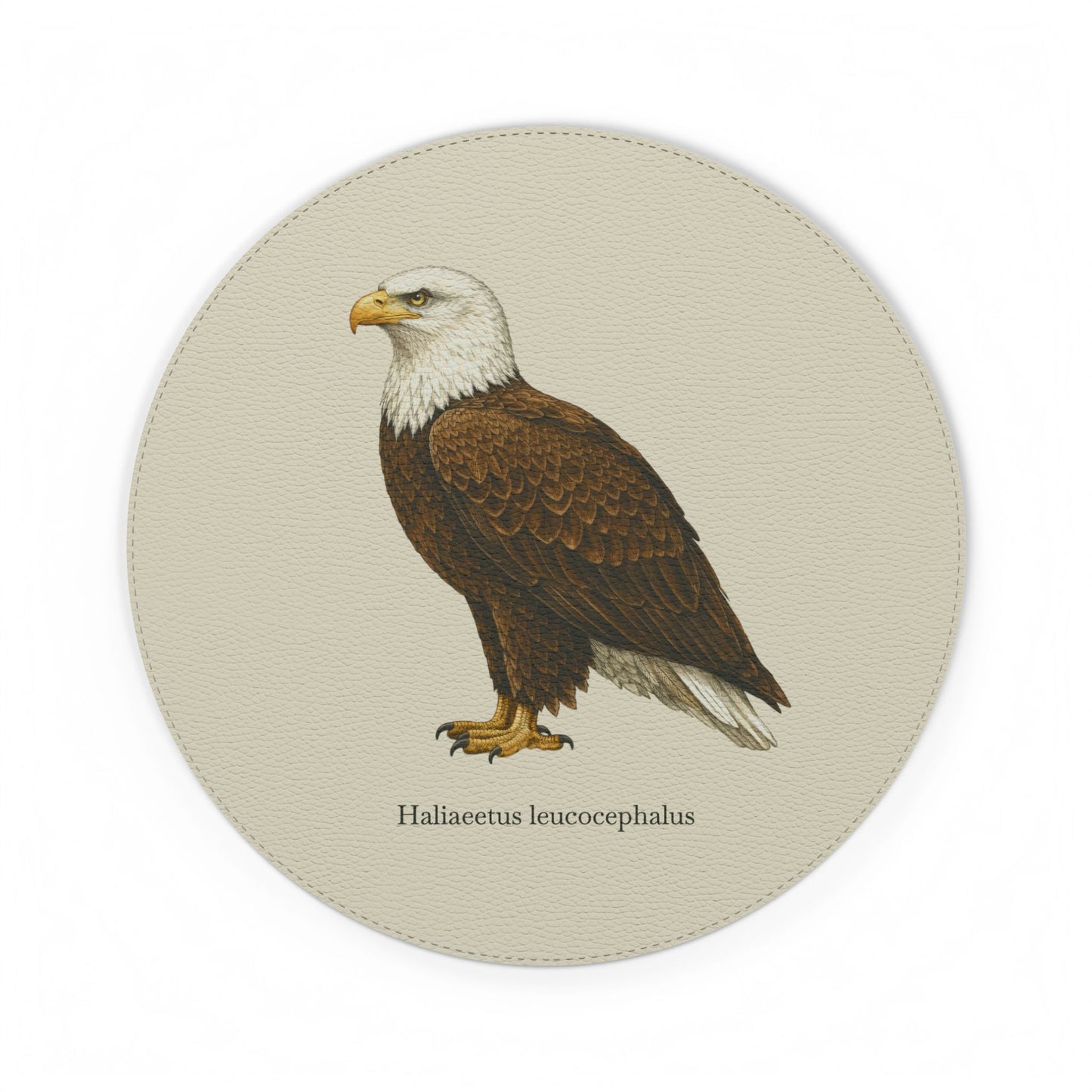 Mouse Pad - Bald Eagle (Haliaeetus leucocephalus)