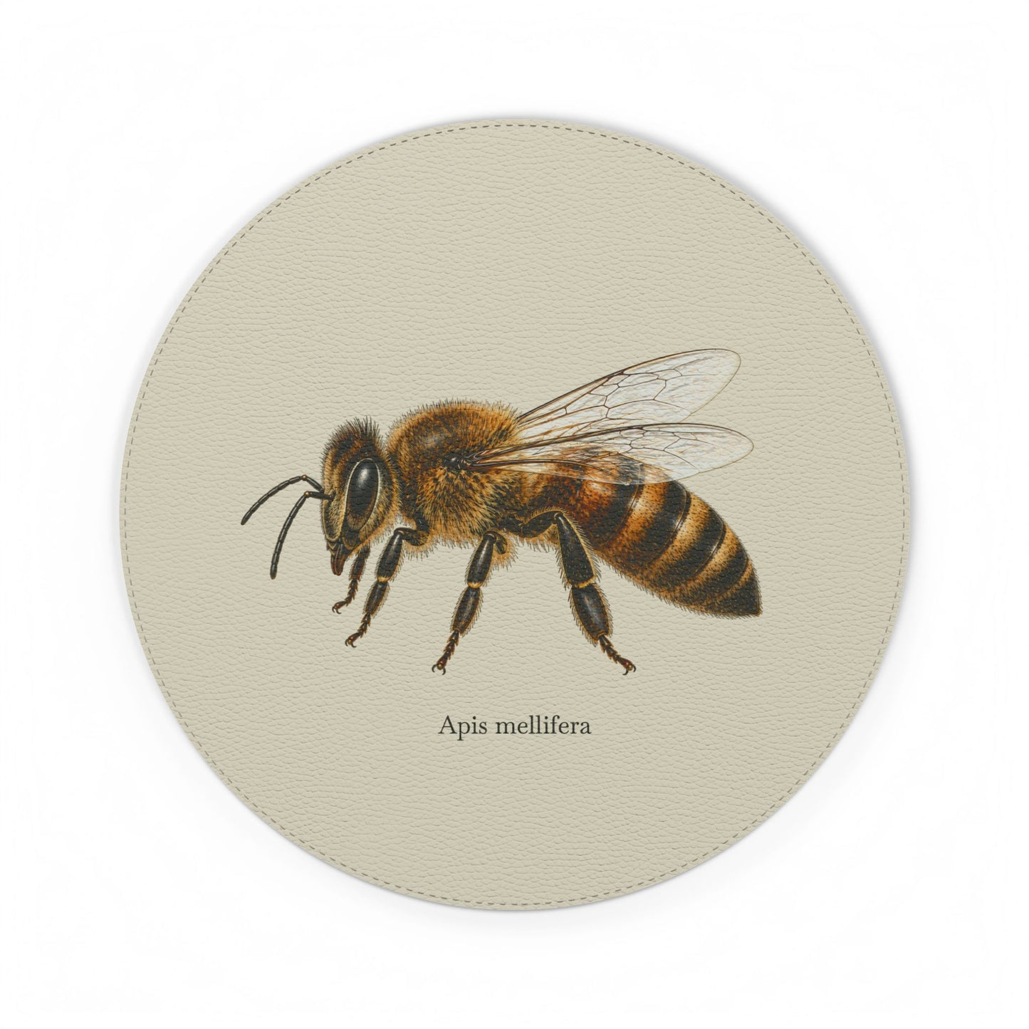 Mouse Pad - Honey Bee (Apis mellifera)
