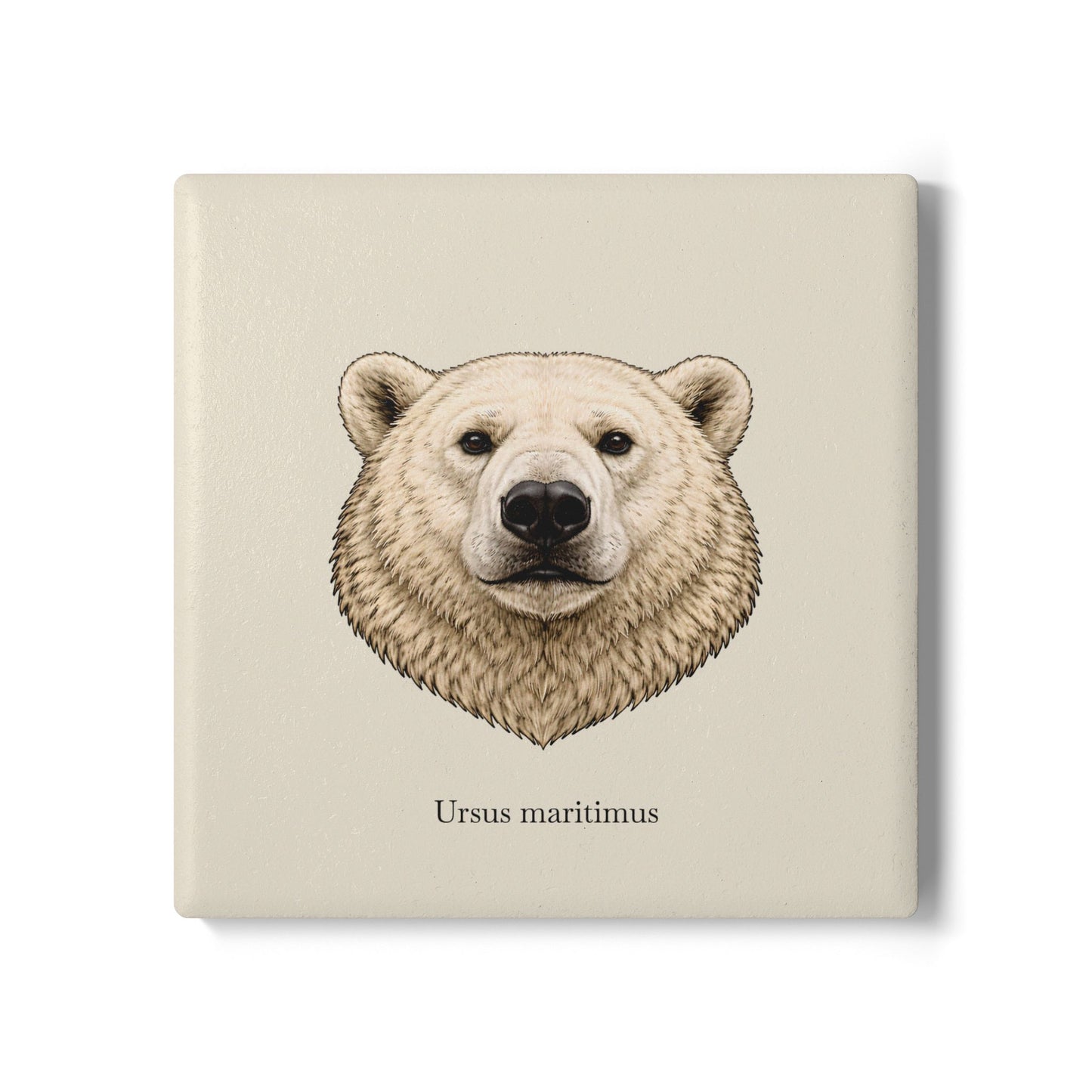 Ceramic Coaster - Polar Bear (Ursus maritimus)
