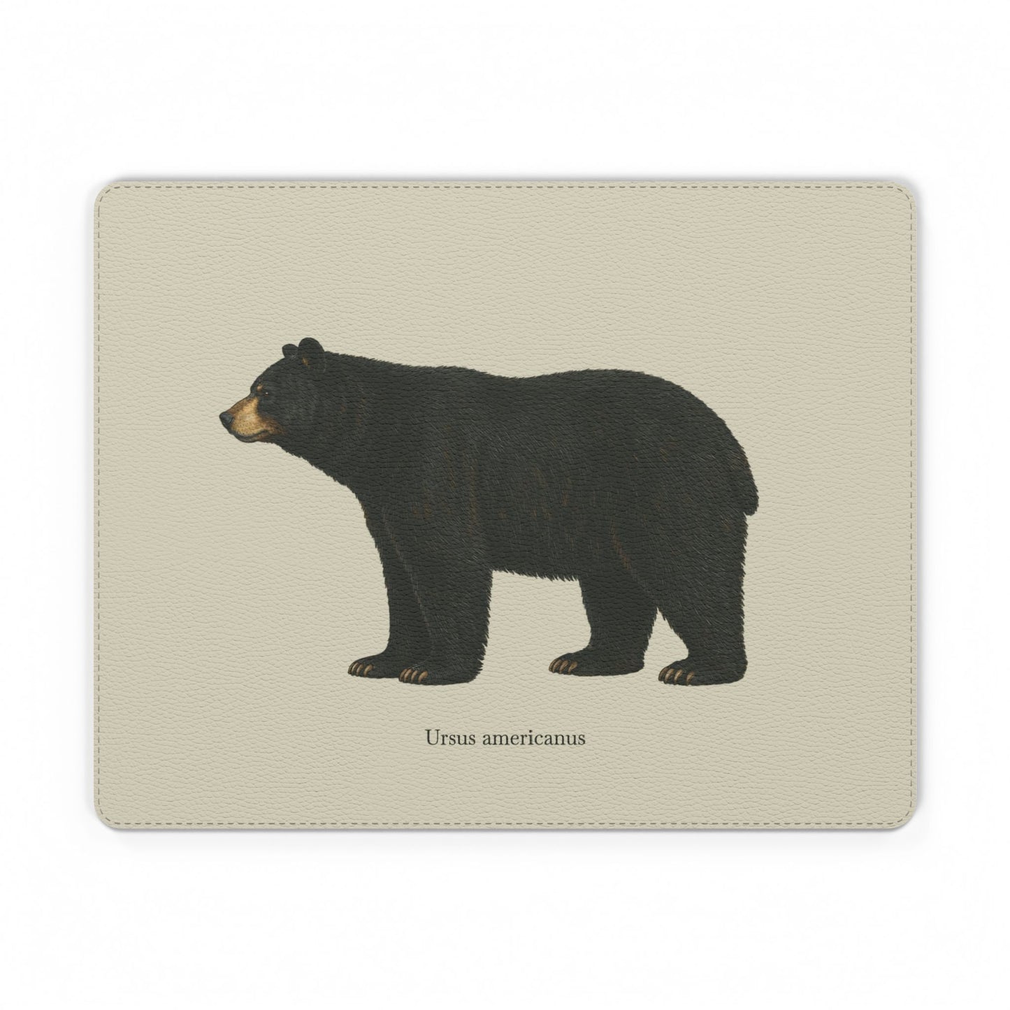 Mouse Pad - Black Bear (Ursus americanus)