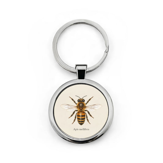 Stainless Steel Keychain - Honey Bee (Apis mellifera)
