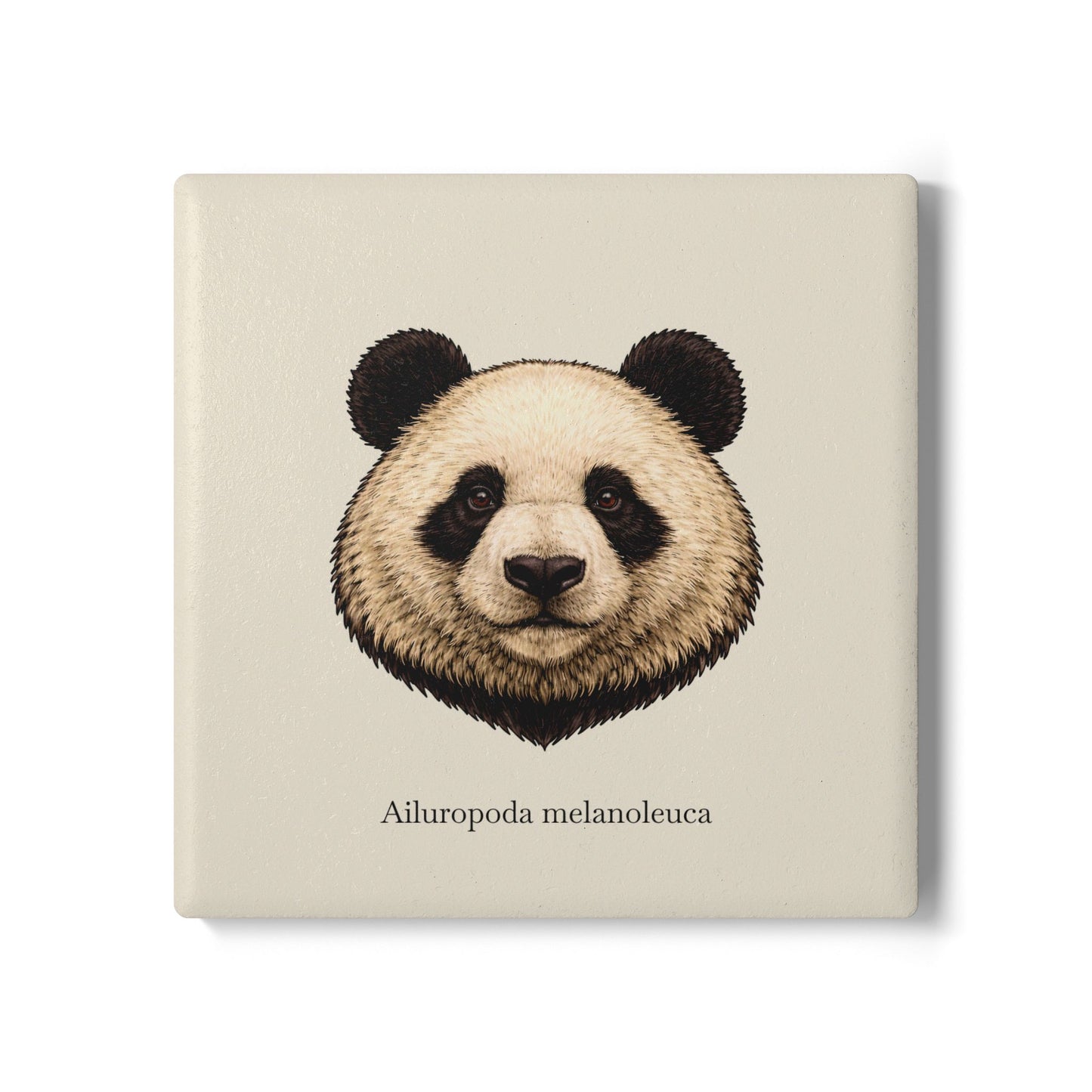 Ceramic Coaster - Giant Panda (Ailuropoda melanoleuca)